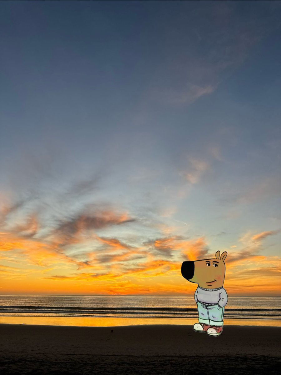 AylexLe's tweet photo. Just a #chillguy https://t.co/0PQ8oGPSRT