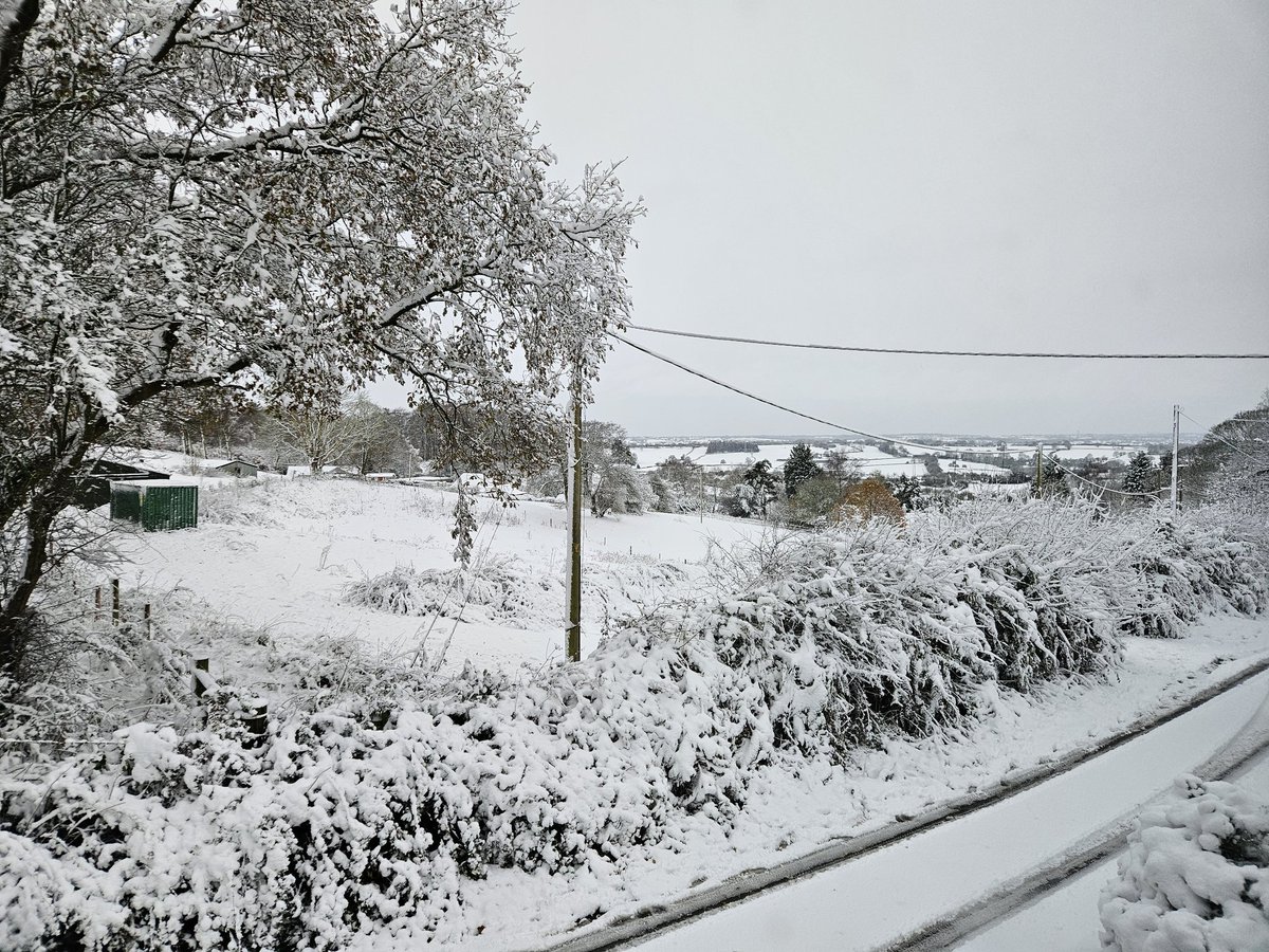 MarkListerCI's tweet image. Beautiful views today.