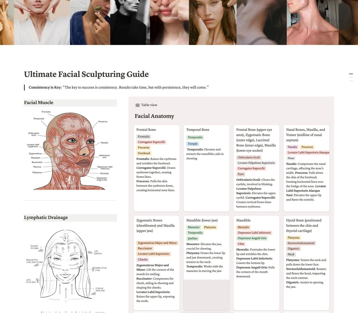 Aadityaa | Notion Girl 💡 tweet media