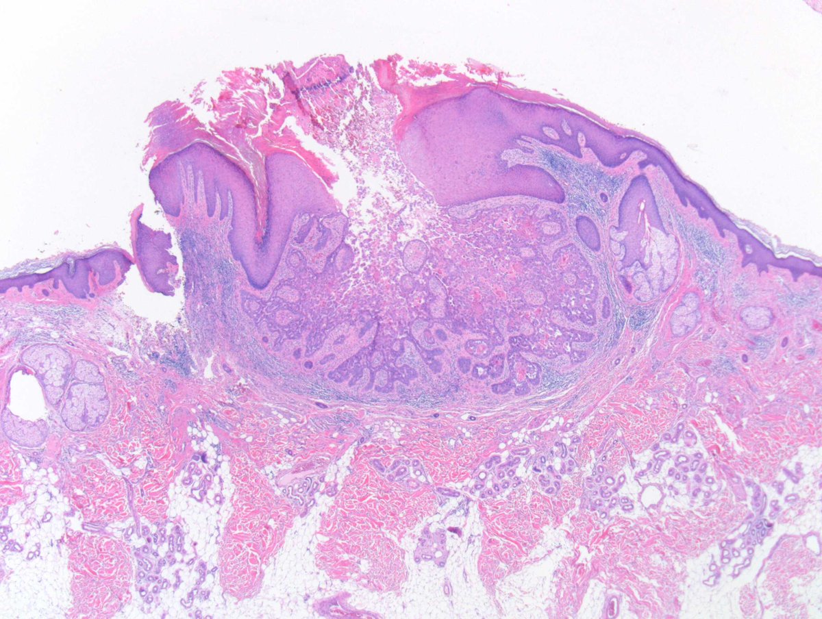 Richard Carr tweet media