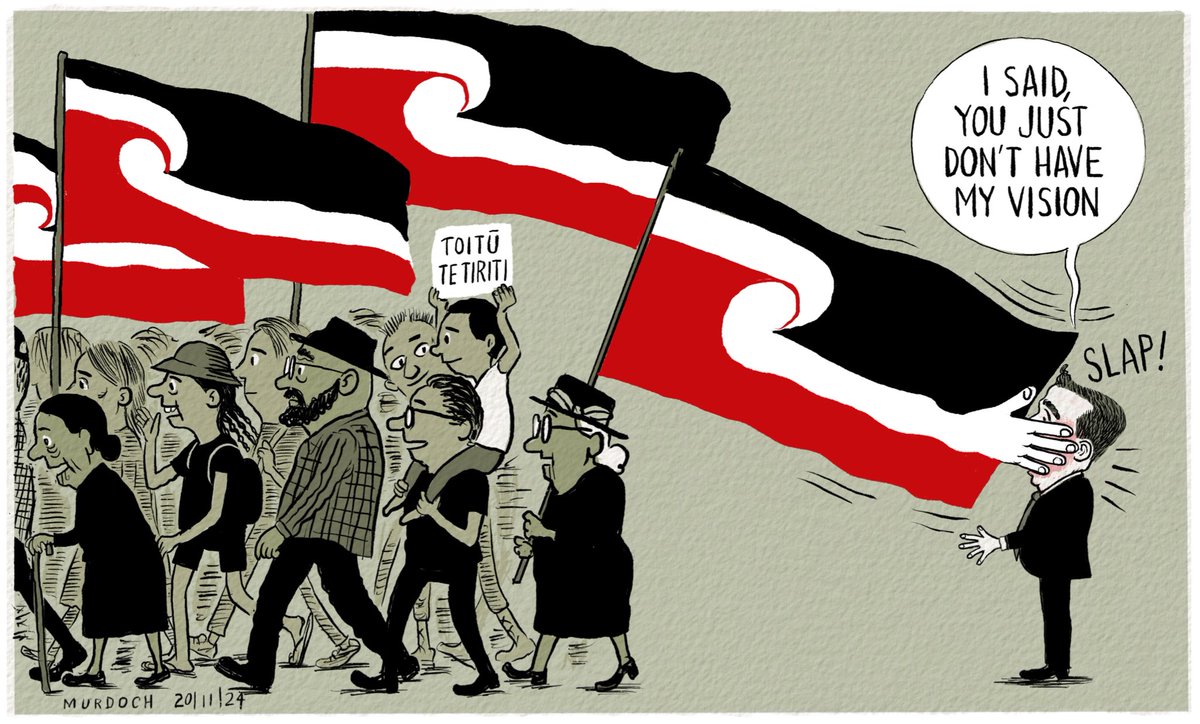 What a great day it was in Te Whanganui a Tara Wellington yesterday. 
A unequivocal message was sent to David Seymour and the coalition government.
My #cartoon today #nzpol #ToitūTeTiriti