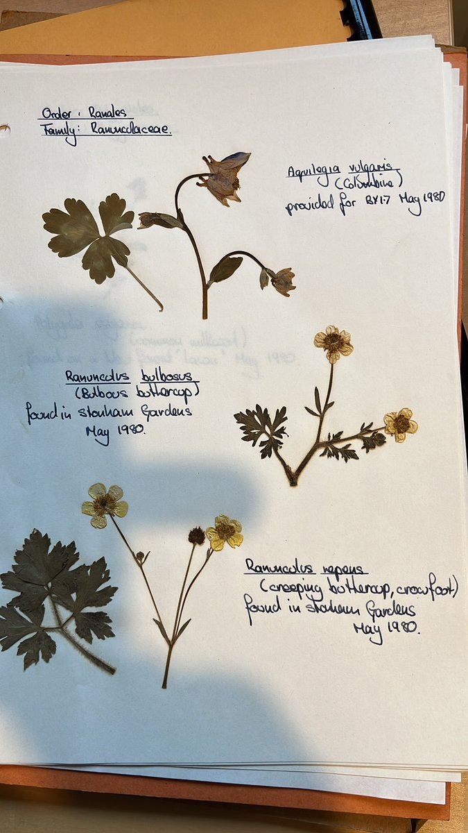 Great research and they are beautiful too. Do today’s university students create herbaria? I came across mine from 1980 the other day.