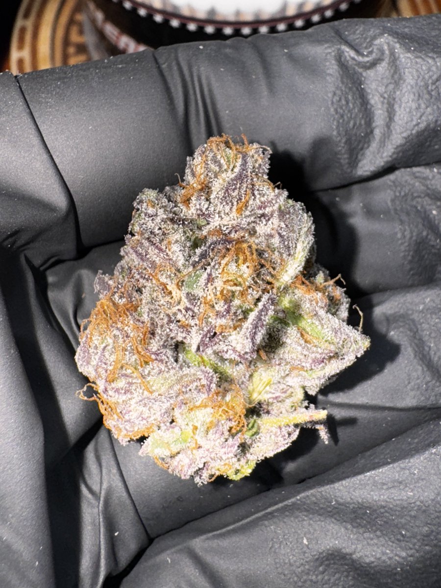 RainingRosin's tweet image. Let’s do a little give away today. 2 Winners
2 x 14g Flower (Random)
2 x 3g Live Resin Puck 
2x Hash2O (Random Flavor)
Stickers, Magnets etc.
Must follow: Myself, @SamSmokesALot16 @Frank_Castle215 @rosinlife87 @spoonfulofdank_  #rainfam
Must Repost to your Profile. 
Comment and