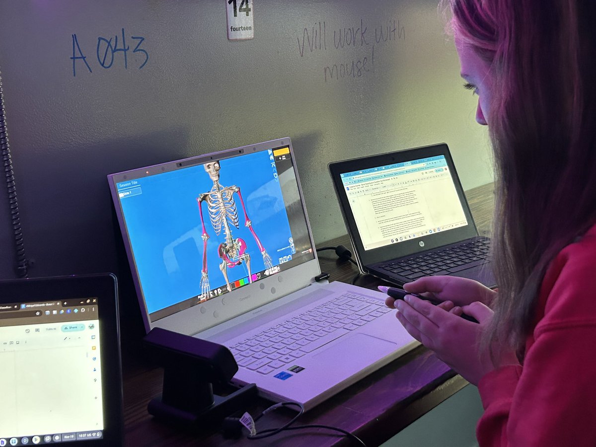 Lauren Morris, Ed.S tweet media