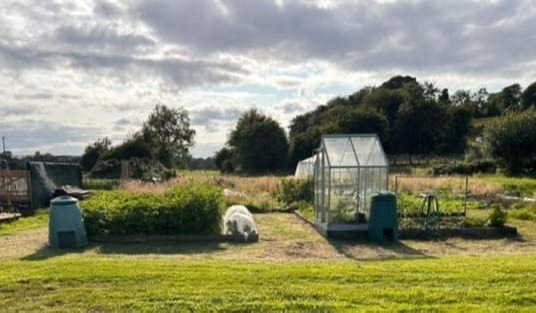 fermanaghomagh's tweet image. 🌎#EuropeanWeekForWasteReduction
🍎Today we&apos;re showcasing Riverside Allotments #Ballinamallard who are taking action to reduce food waste by growing their own vegetables, soft fruits &amp;amp; herbs

🌟Each year they try growing something new
To read more👉bit.ly/FOFoodWasteAct… 

#FODC