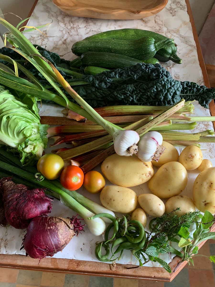 fermanaghomagh's tweet image. 🌎#EuropeanWeekForWasteReduction
🍎Today we&apos;re showcasing Riverside Allotments #Ballinamallard who are taking action to reduce food waste by growing their own vegetables, soft fruits &amp;amp; herbs

🌟Each year they try growing something new
To read more👉bit.ly/FOFoodWasteAct… 

#FODC