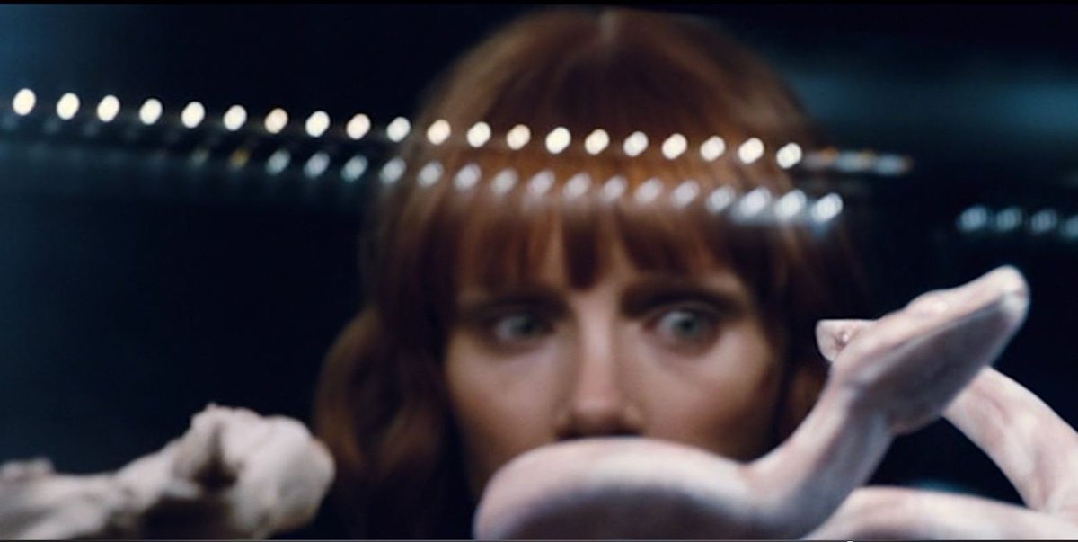 SaurianBot🦖 tweet media