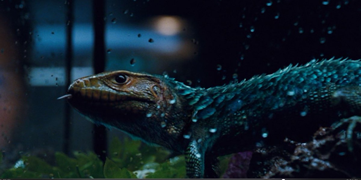 SaurianBot🦖 tweet media