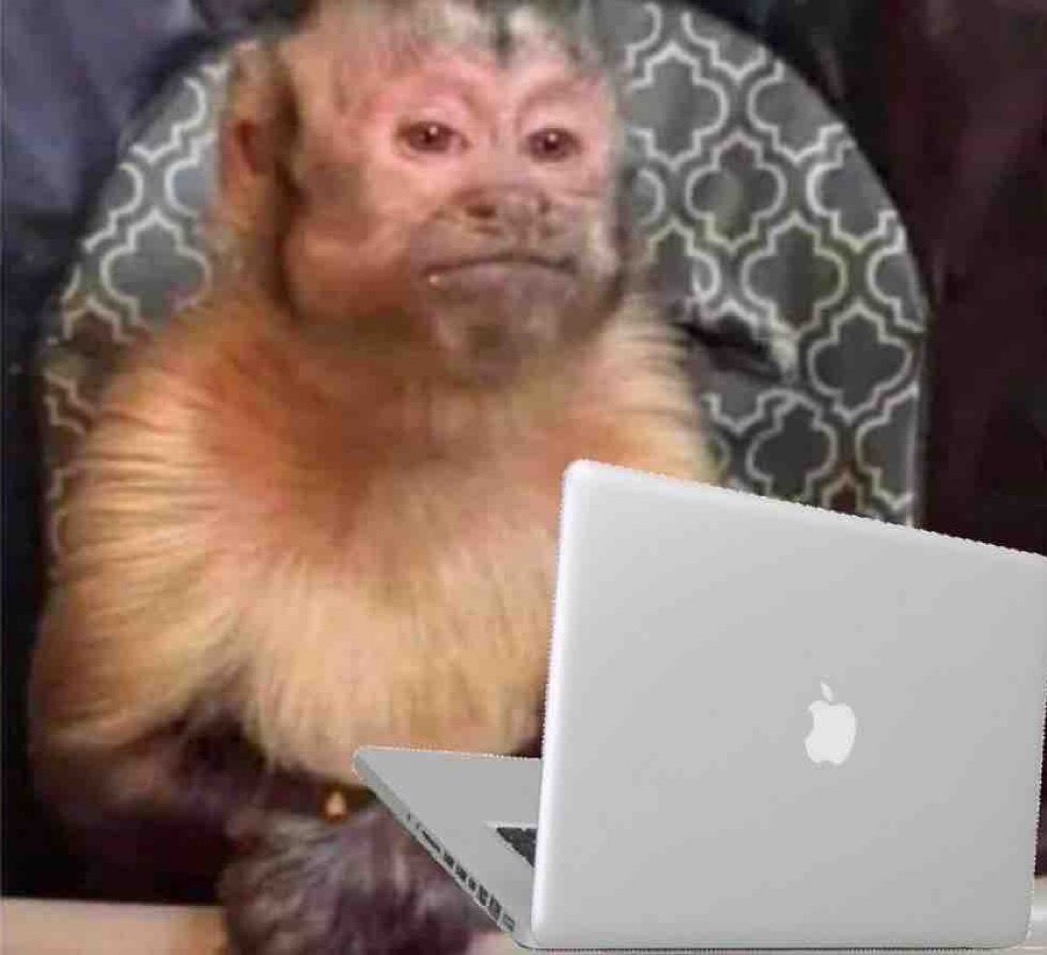 — ¿No me hará daño trabajar así?
— ¿Así como?
— Así sin ganas.