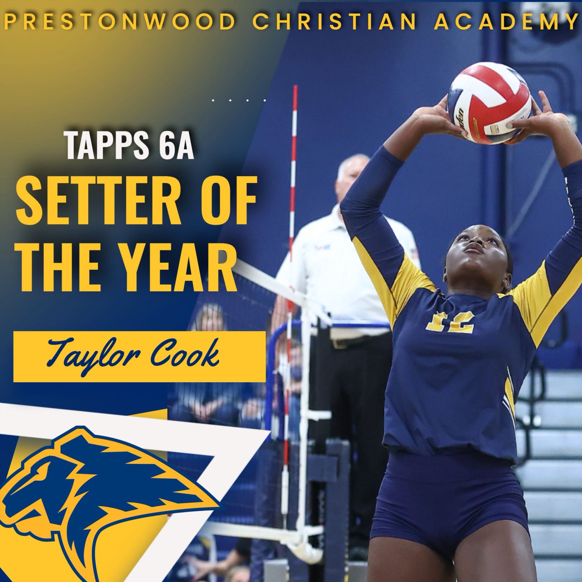 Congratulations to the following TAPPS 6A Award Recipients!!! GO LIONS!🏐