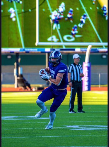 Brayden Steele tweet media