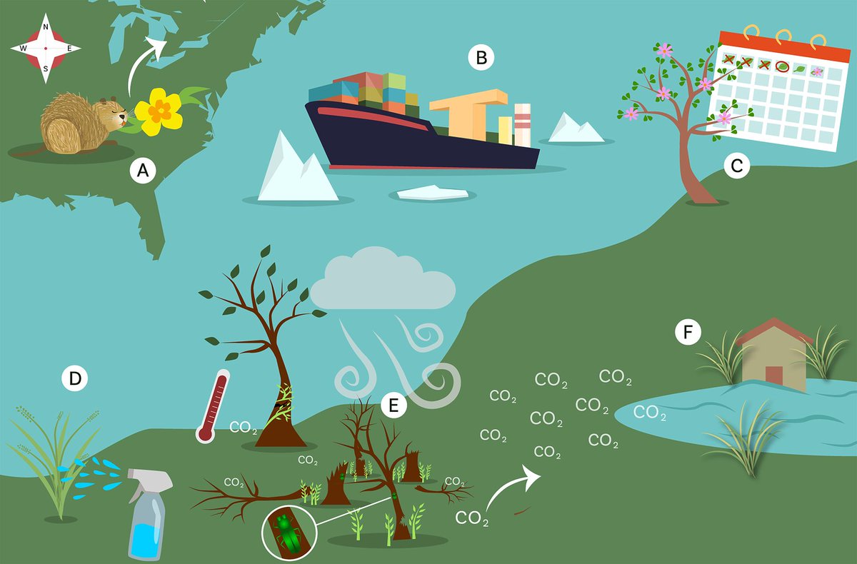 Global Change Biology (@globalchangebio) on Twitter photo Climate-Smart Invasive Species Management for 21st Century Global Change Challenges
📄 onlinelibrary.wiley.com/doi/full/10.11… <a href="/evacolberg/">Dr. Eva Colberg (she/her)</a> Climate-Smart Invasive Species Management for 21st Century Global Change Challenges
📄 onlinelibrary.wiley.com/doi/full/10.11… <a href="/evacolberg/">Dr. Eva Colberg (she/her)</a>