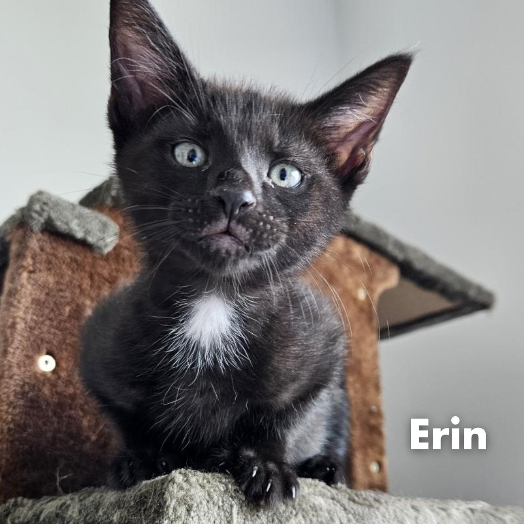 Peggy Adams ARL (@peggyadamsarl) on Twitter photo 