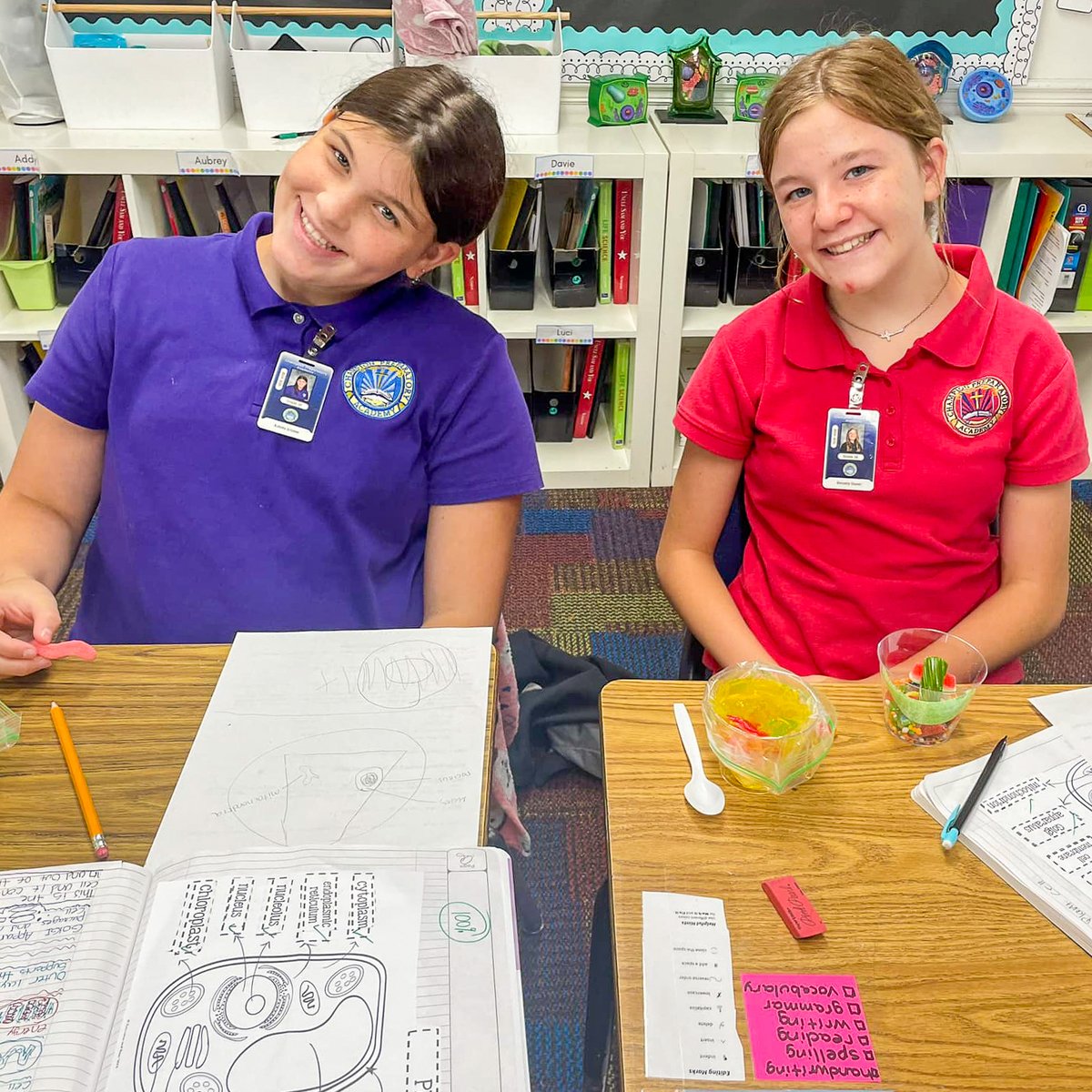 ChampionPrep's tweet image. Ms. Alvarez’s students have been diving into the world of plant and animal cells! 🌱🧬
They teamed up to build cell models and even got to create edible versions with Jello and candy! Learning about cells has never been so fun — or tasty.
#scienceclass #cells #cellmodel