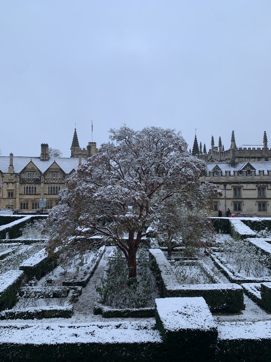 Snowy rose garden and <a href="/magdalenoxford/">Magdalen College</a> in the early morning ❄️