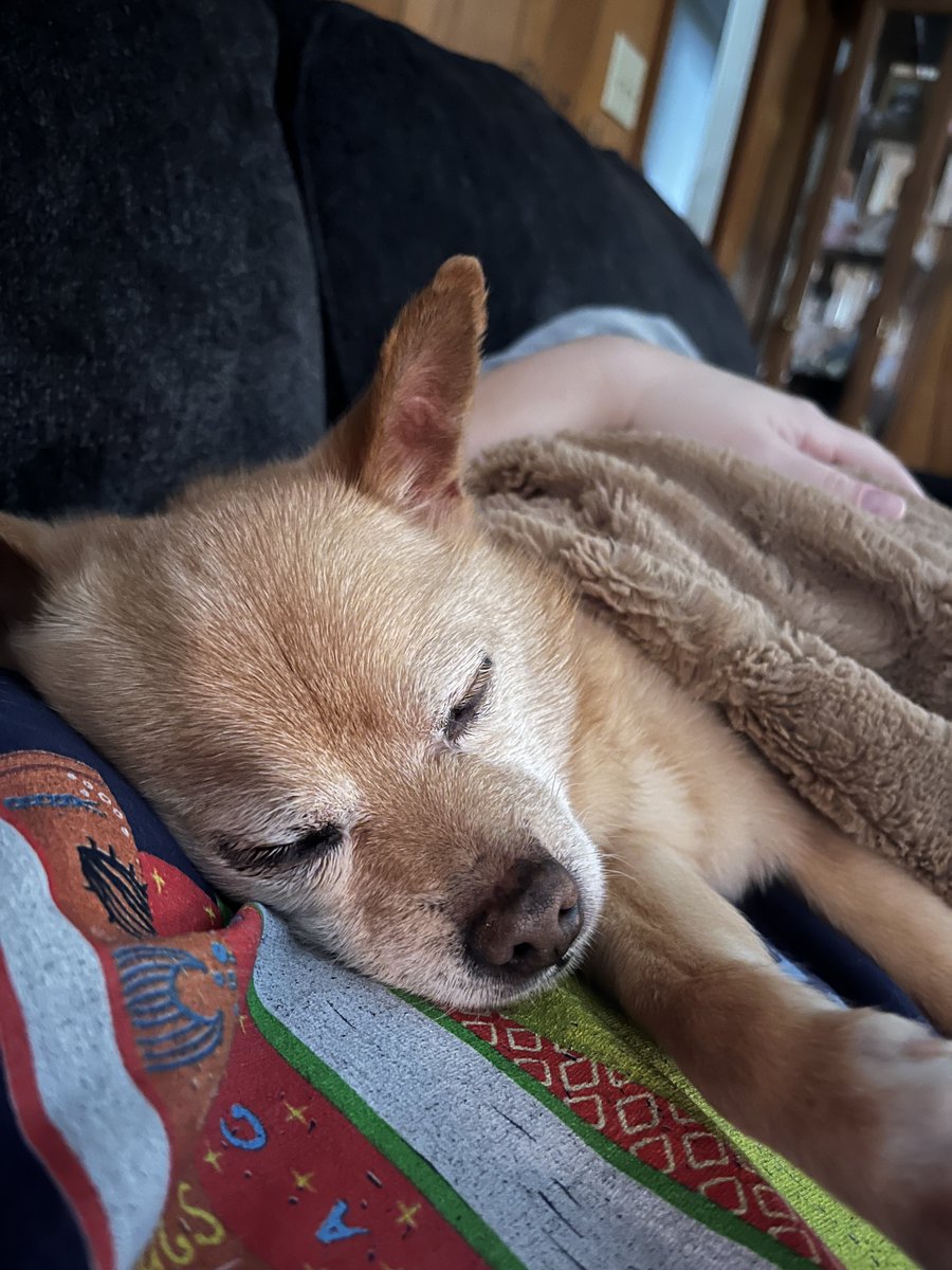 One last morning of snuggles. I’m so glad I got to be your mom 💔