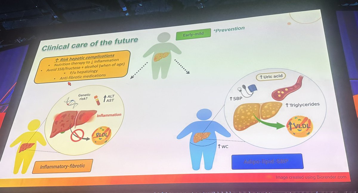 Naim Alkhouri tweet media