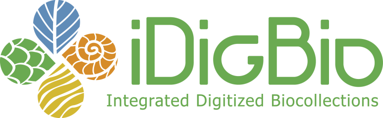 iDigBio's tweet photo. #Museum30 day 19 is name! We are iDigBio- [I]ntegrated [Dig]itized [Bio]collections. We take data and images from millions of biological specimens, digitize them, and make them publicly accessible through our online database: https://t.co/WF0vz6rWSO

#Challenge30 #museum #data https://t.co/iRX3m7ByKj