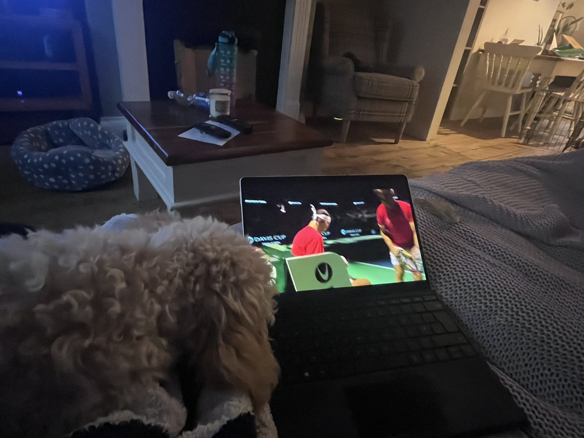 jodpet's tweet photo. @TennisPodcast @CWhitakerSport our fourth month old cavapoochon, Rafa, watching the man he was named after ❤️🇪🇸 https://t.co/hzJSX46Aat