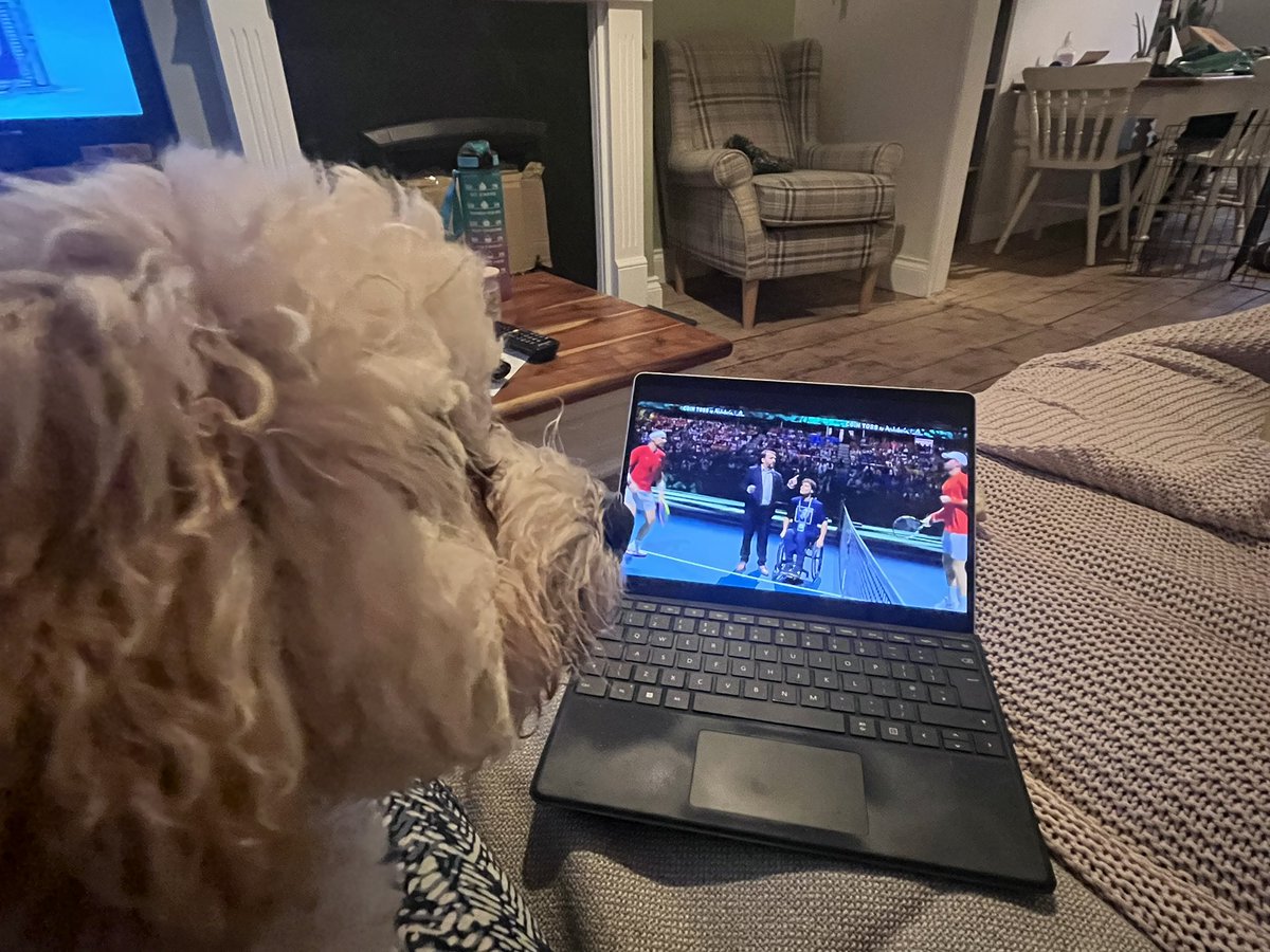 jodpet's tweet photo. @TennisPodcast @CWhitakerSport our fourth month old cavapoochon, Rafa, watching the man he was named after ❤️🇪🇸 https://t.co/hzJSX46Aat
