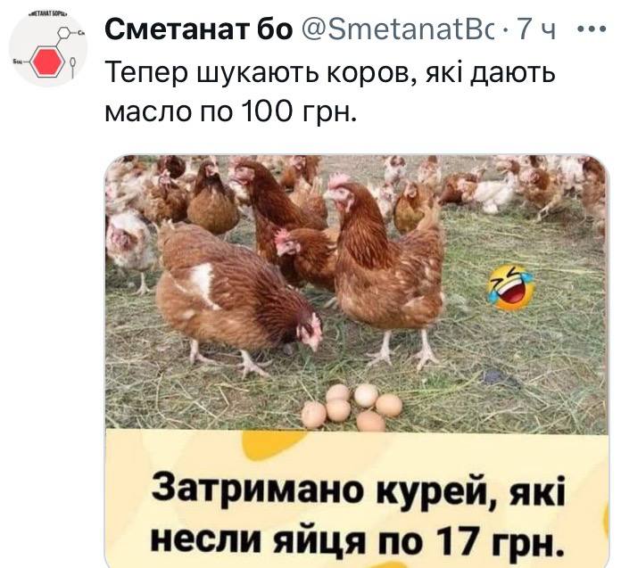 Oleh Kifchuk tweet media
