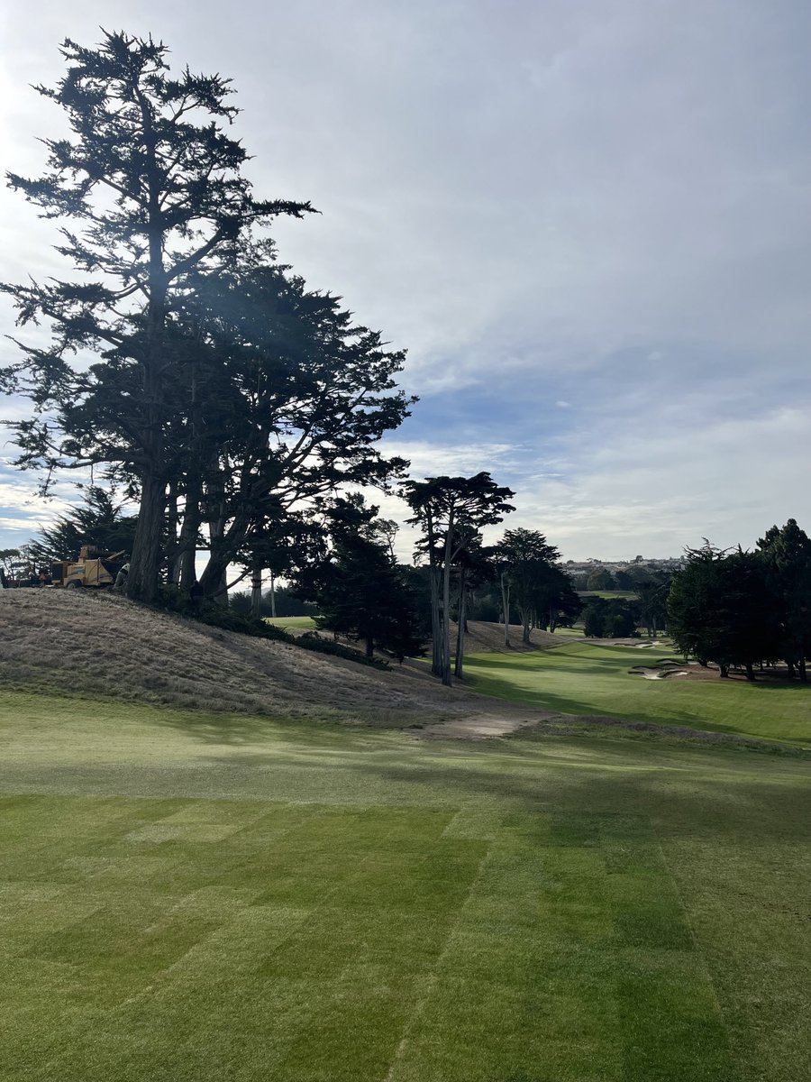 Javier Campos tweet media