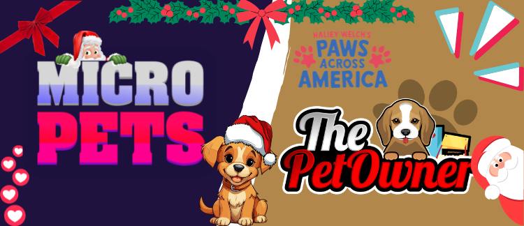 MicroPets 🐶 tweet media