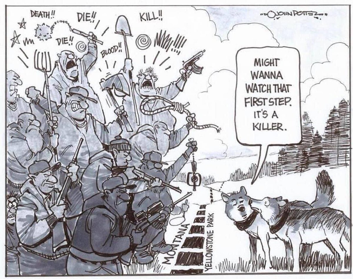 DanMacnulty's tweet image. News that Montana hunters killed up to eight wolves from Yellowstone&apos;s 8-Mile Pack shortly after they crossed the park&apos;s northern boundary underscores the reality illustrated by this cartoon. wyofile.com/fifth-wolf-kil…