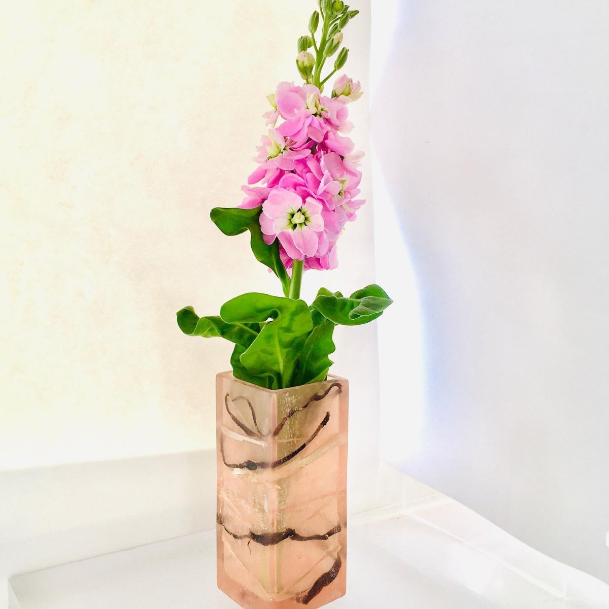 BioTrimmings's tweet photo. Fresh New Look! - https://t.co/4I2oEKiTyE https://t.co/fvVXQVJozr