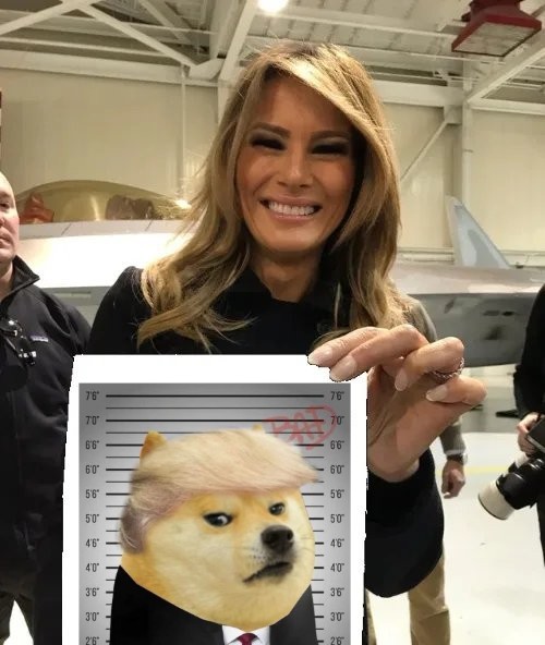 akaCurt's tweet photo. DOGE https://t.co/cZVBBz10hJ