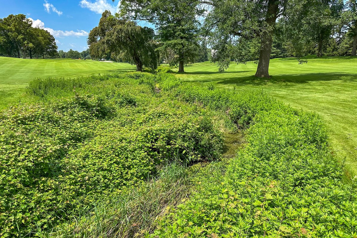 EPAregion3's tweet photo. ⛳ @EPA's Smart Sectors Program helps golf courses make environmental improvements! 

Learn how: https://t.co/yRC11thytc

📸: @USGA, Brian Gietka 

@GCSAA @USGAGrnSection https://t.co/wkJ5Tr6H43