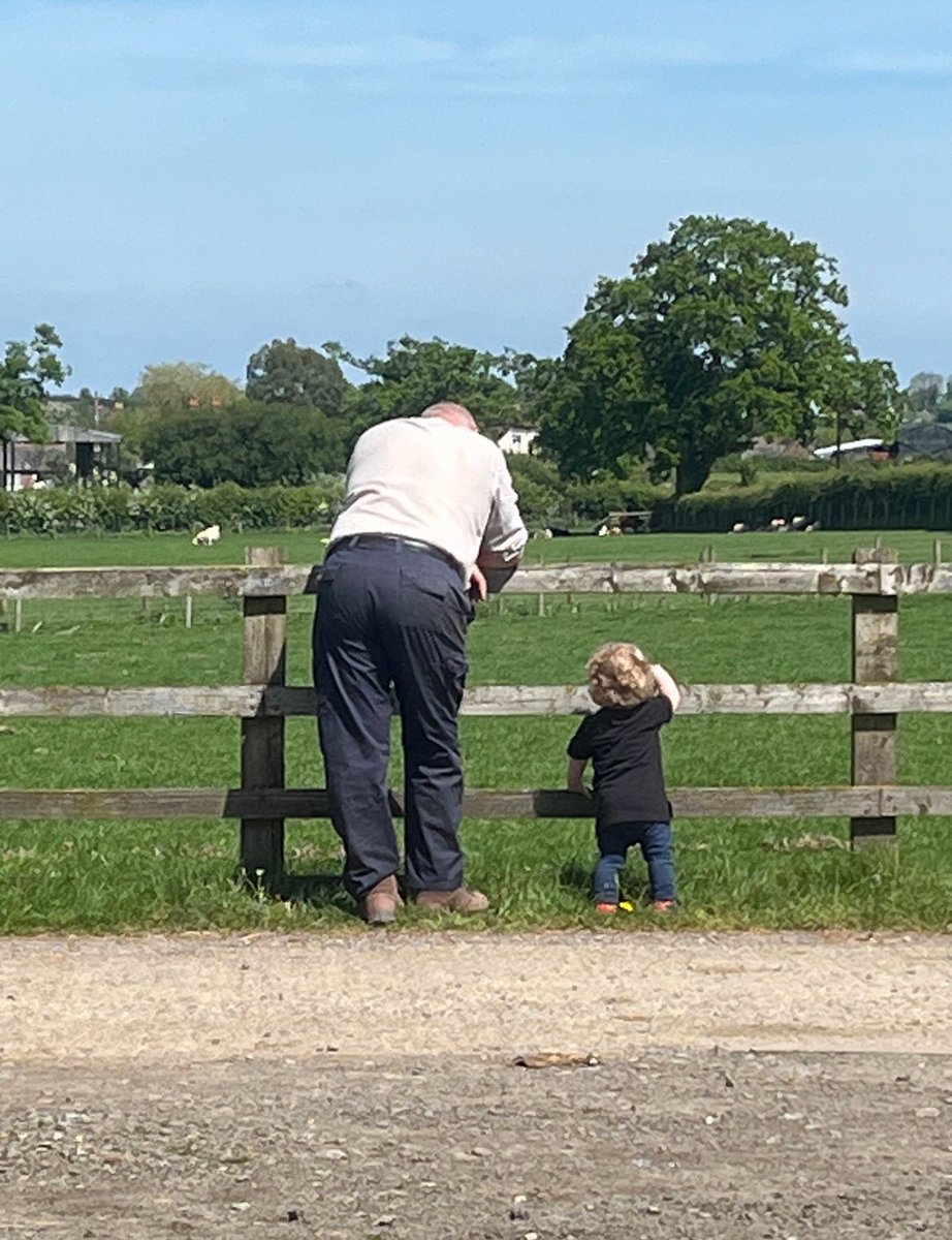 cllr_potter's tweet image. Many problems can be solved whilst leaning on the fence. #FamilyFarmTax might not be one of them.