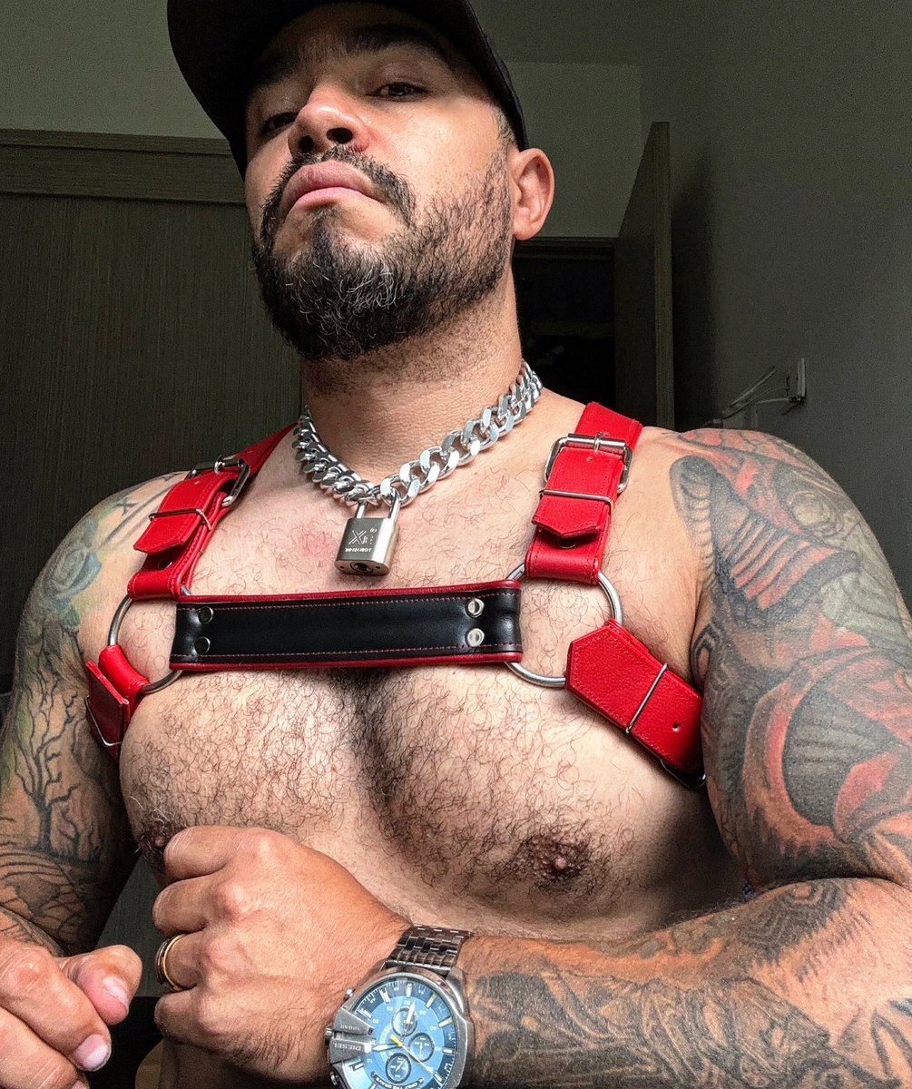 Arnés H personalizado
Pide el tuyo aquí:

wa.me/573188007311