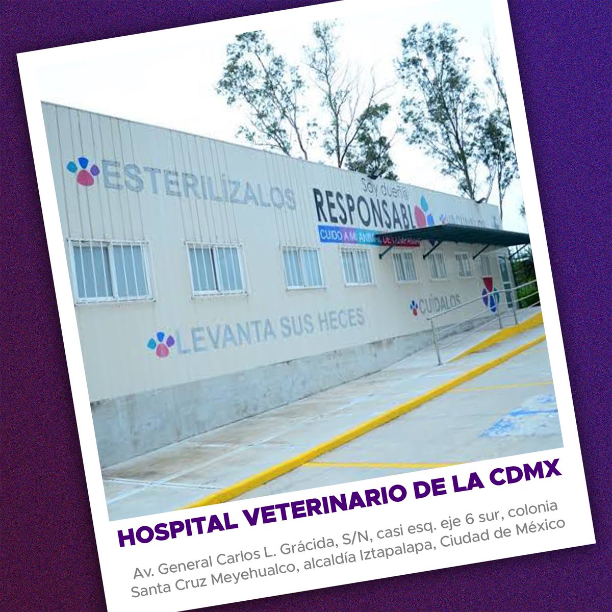 Sabías que la Agencia de Atención Animal (AGATAN) 🐶 situada en Chapultepec II sección, tiene a su cargo el Hospital Veterinario de la CDMX en Iztapalapa en Av Carlos L. Grácida. En ambas realizamos jornadas de esterilización gratuitas.