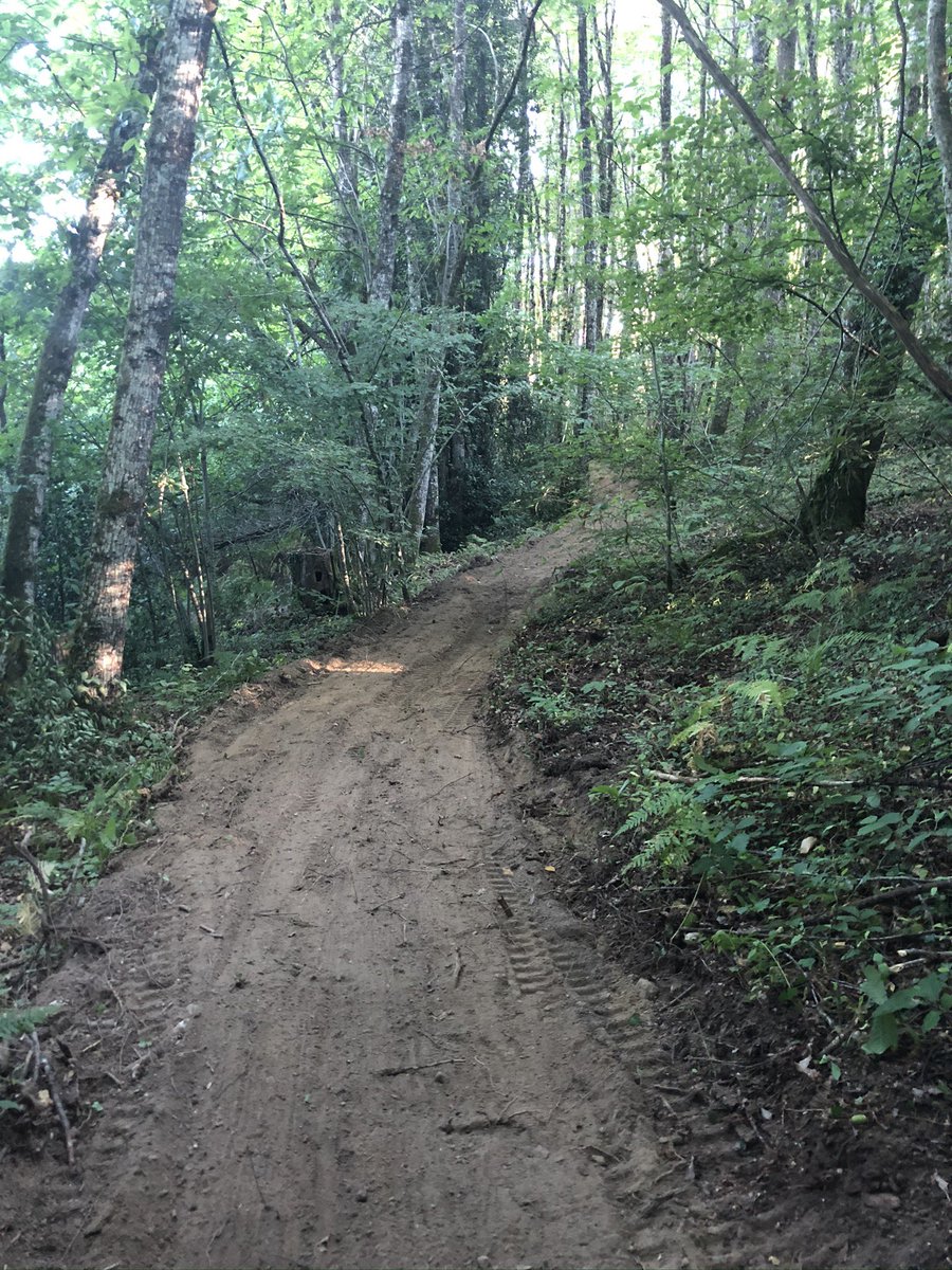 Starting to excavate pathways in the forest, enhancing the wonderful natural provocations already there and creating places to reflect, talk and ‘be’ here in France! 🇫🇷 #naturalenvironments #reducecortisol #relax #breathe #passionproject