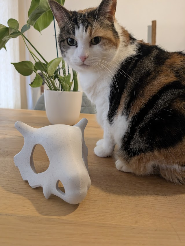 Ralfprints's tweet photo. Cubone skull en Luca <3 
#Pokemon https://t.co/Kn3ZAg9zCc