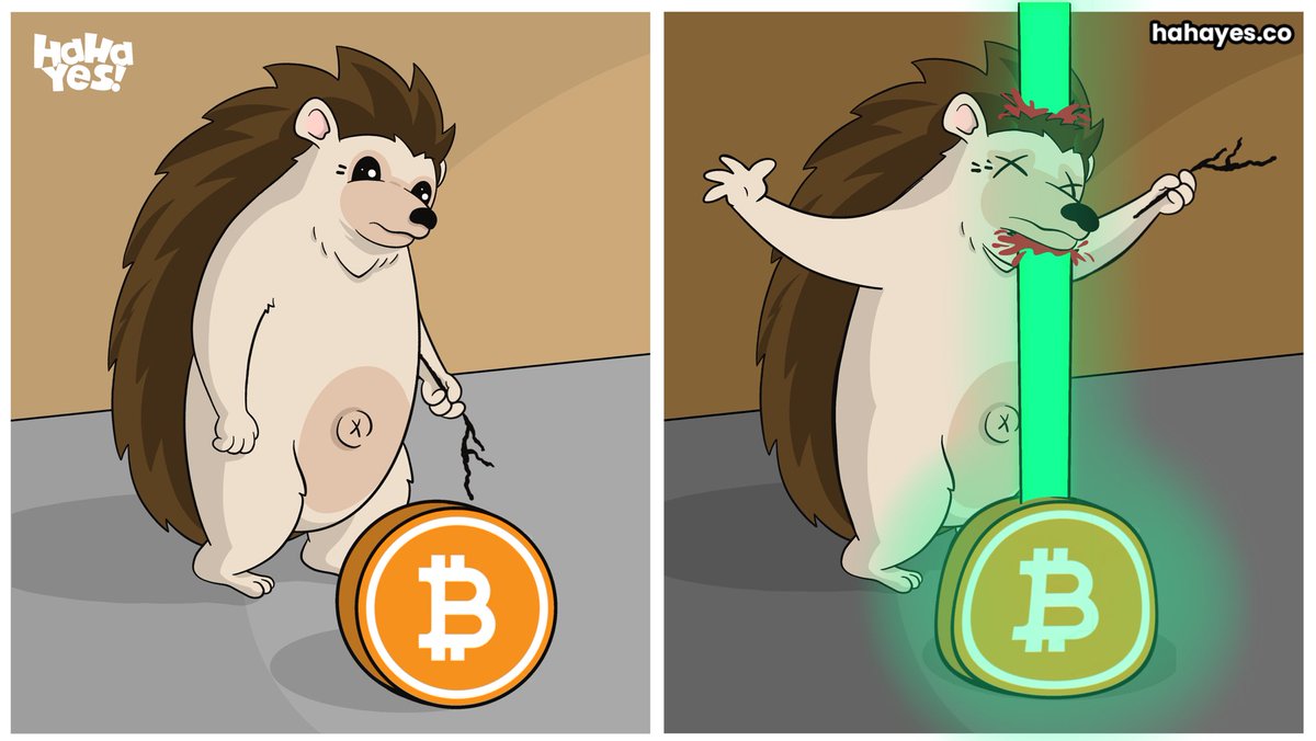 HahaYes, Tesla's Hedgehog Mascot tweet media