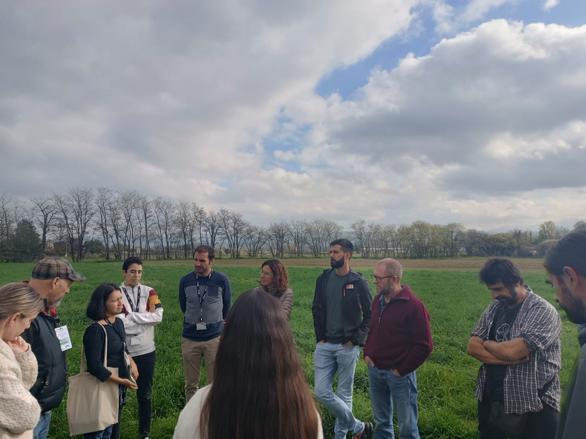 TRANSITION-Med tweet media