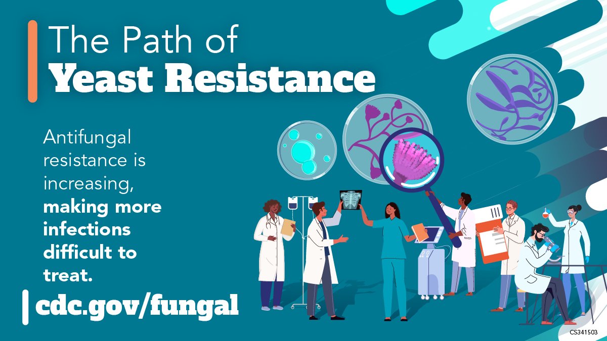 CDC Antimicrobial Resistance (@cdc_ar) on Twitter photo <a href="/WHO/">World Health Organization (WHO)</a>’s Fungal Priority Pathogens List is the first global effort to prioritize fungal pathogens by public health importance. The list guides global research & the public health response to fungal infections & #AntimicrobialResistance. Learn more: bit.ly/3ACTGcK #USAAW24 <a href="/WHO/">World Health Organization (WHO)</a>’s Fungal Priority Pathogens List is the first global effort to prioritize fungal pathogens by public health importance. The list guides global research & the public health response to fungal infections & #AntimicrobialResistance. Learn more: bit.ly/3ACTGcK #USAAW24