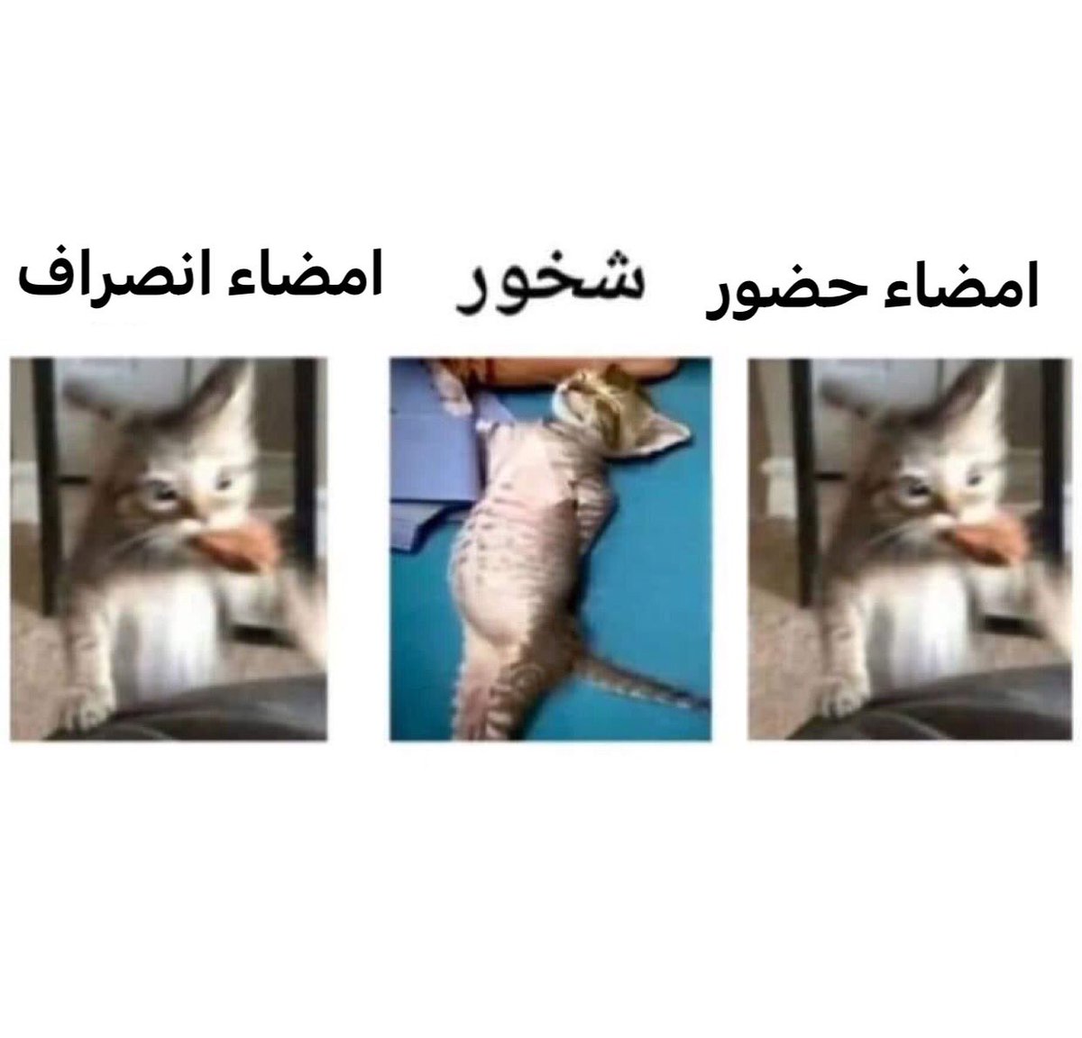 امتياز core