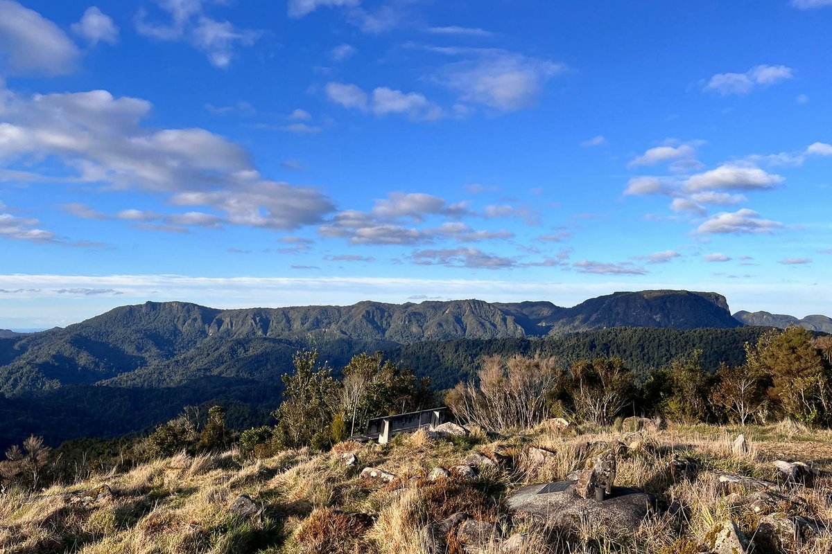 NZ Wilderness tweet media