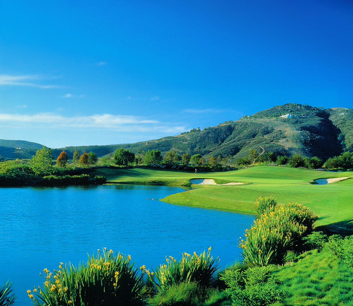 The Bridges at Rancho Santa Fe tweet media