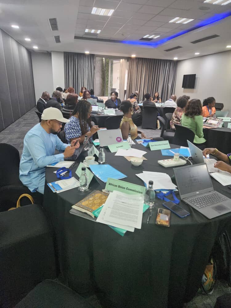 African Union Political Affairs Peace and Security tweet media