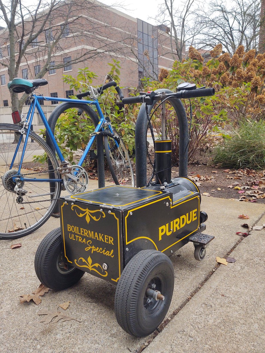 Look at this lil guy...