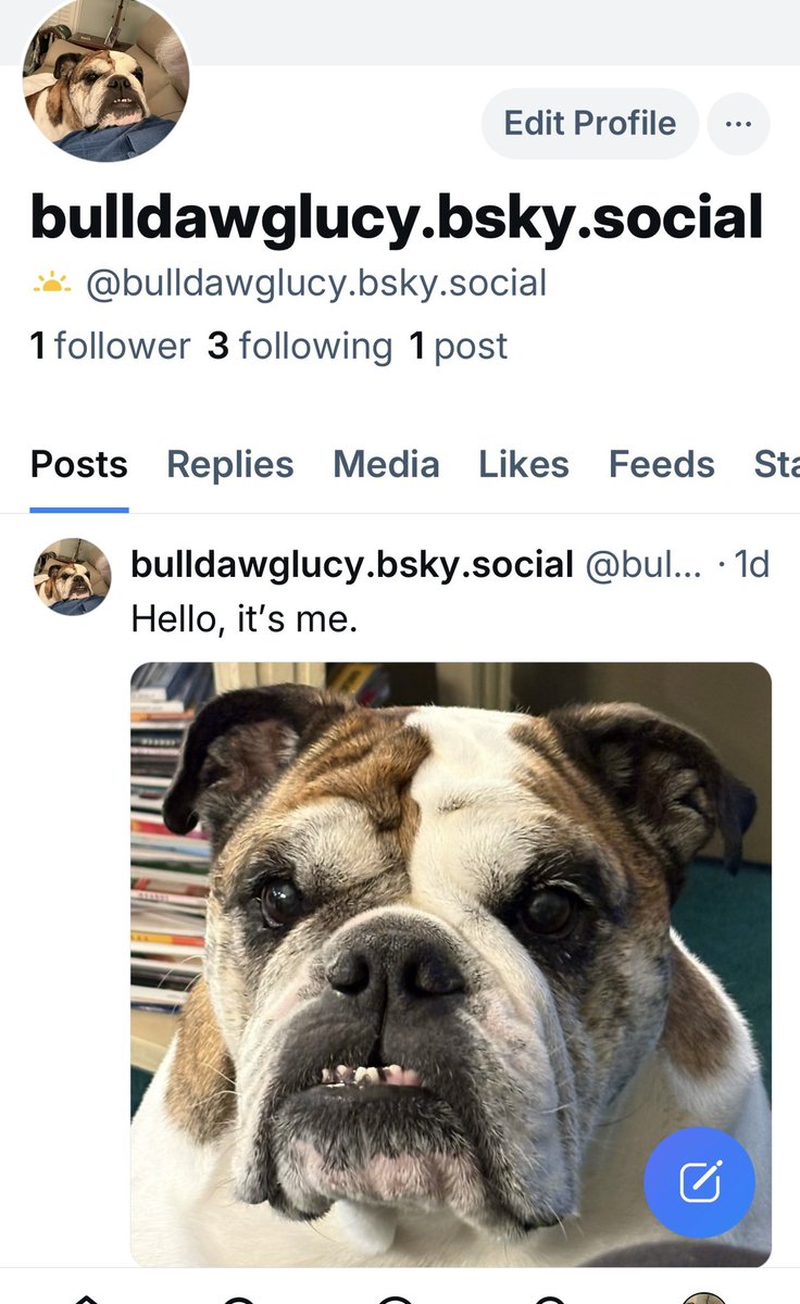 Hi friends! I’m not going to be using X much going forward. I’m leaving my account up for now but I’m now on Bluesky.