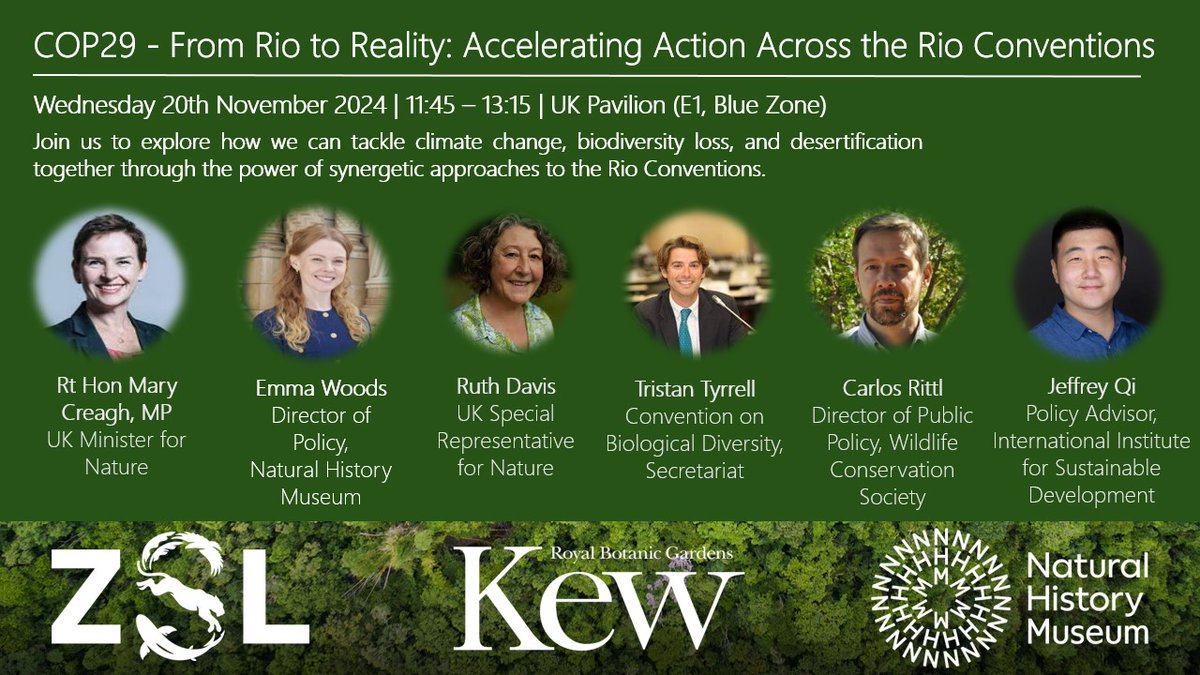Emma Woods (@sdoowamme) on Twitter photo Calling #COP29 goers! Come along to the UK Pavilion tomorrow (Wed) 11.45am to hear from UK leaders & international experts about joined up solutions for nature, climate & people, feat. an opening address from <a href="/MaryCreagh_/">Mary Creagh CBE MP</a>, UK Minister for Nature. youtube.com/@UKCOPPavilion 🌿🐋🌍 Calling #COP29 goers! Come along to the UK Pavilion tomorrow (Wed) 11.45am to hear from UK leaders & international experts about joined up solutions for nature, climate & people, feat. an opening address from <a href="/MaryCreagh_/">Mary Creagh CBE MP</a>, UK Minister for Nature. youtube.com/@UKCOPPavilion 🌿🐋🌍