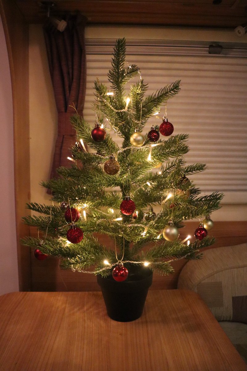 It’s starting to feel very festive here in Belgium 🔥🎄

You’ll be able to read all about our trip on the <a href="/BaileyofBristol/">Bailey of Bristol</a> website very soon 🥰

#accessibleadventures