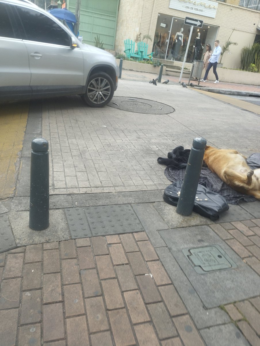 CositadeNada's tweet photo. ¡AYUDA POR FAVOR! Un habitante de calle tiene dopado a este perrito desde las 9:00 am. Está justo detrás del C.C. Atlantis en Bogotá, 80 con CRA 13. El perrito no se levanta desde esta mañana. @andreanimalidad @PlataformaALTO @MONYRODRIGUEZOF https://t.co/0jVacI7lST
