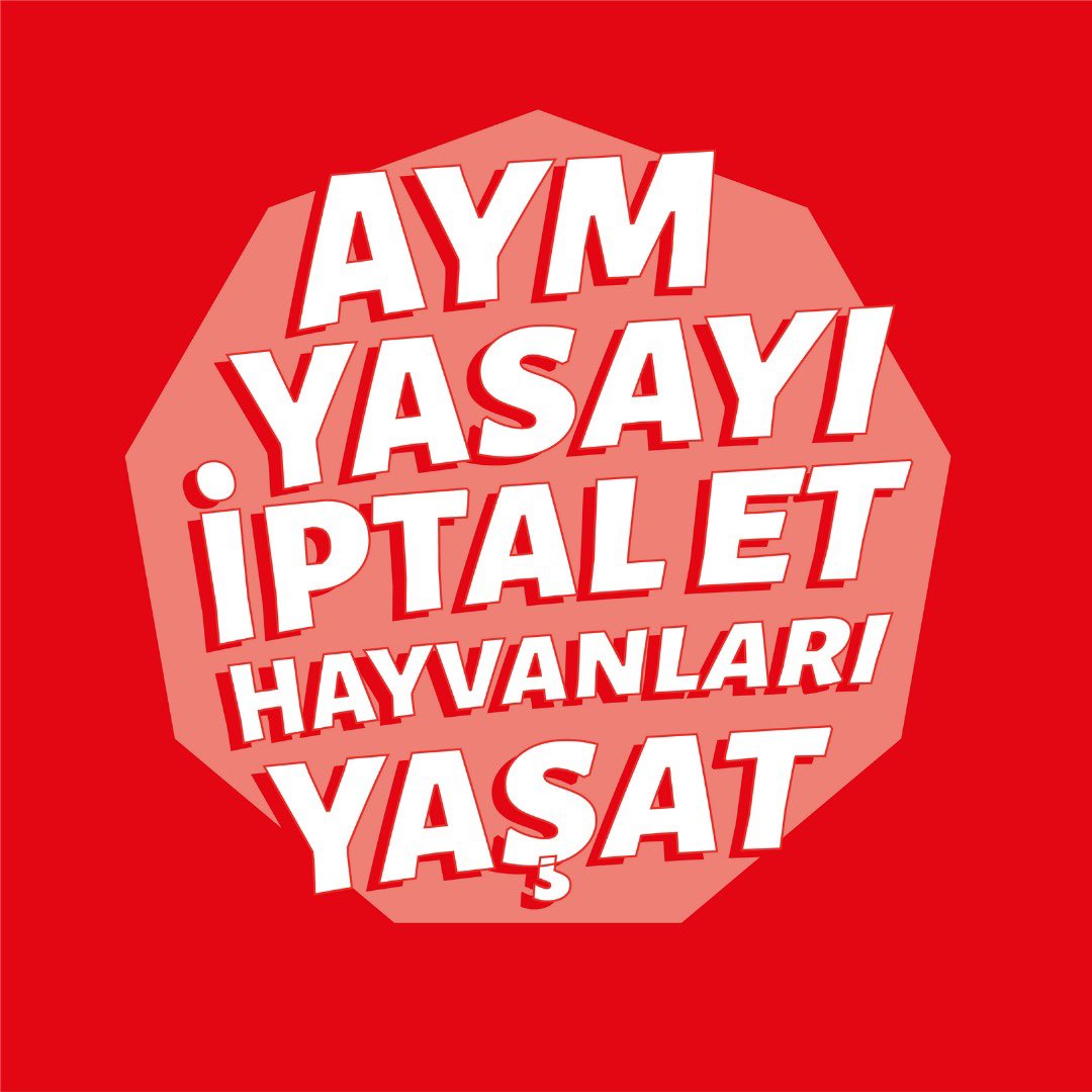 hayvan_yasam's tweet photo. Katliam yasası yürürlüğe girdiğinden beri Türkiye’nin dört bir yanında hayvanlar katlediliyor. Anayasa Mahkemesi bu yasayı iptal ederek katliamı durdurabilir ve yeni Gebzelerin, Ümraniyelerin, Altındağların, Niğdelerin önüne geçebilir! #AYMHayvanlarıYaşat @AYMBASKANLIGI https://t.co/4YqzBqSIpn