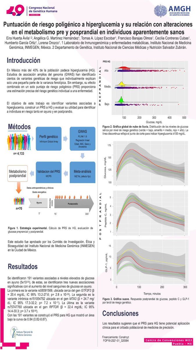 LiemInmegenLab's tweet image. Investigadores del LIEM obtuvieron 1er lugar en modalidad Cartel, en el XLIX Congreso Nacional de Genética Humana por el trabajo: Puntuación de riesgo poligénico a hiperglucemia y su relación con alteraciones en el metabolismo pre y posprandial en individuos aparentemente sanos